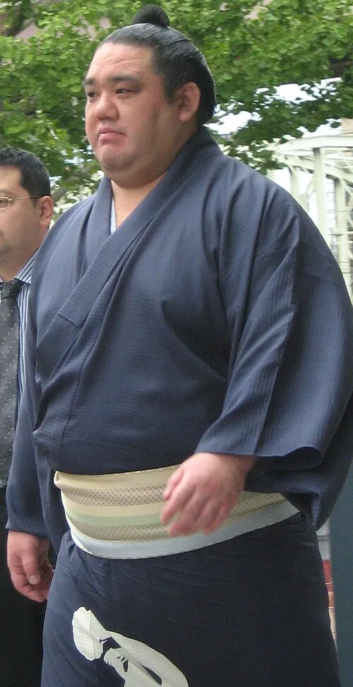 若の里忍