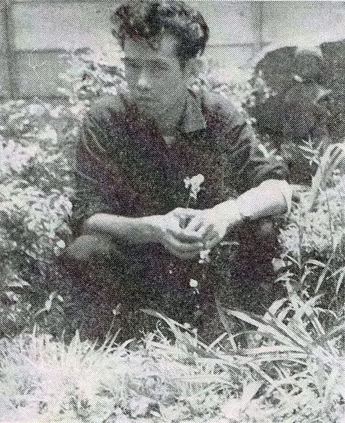 谷内六郎