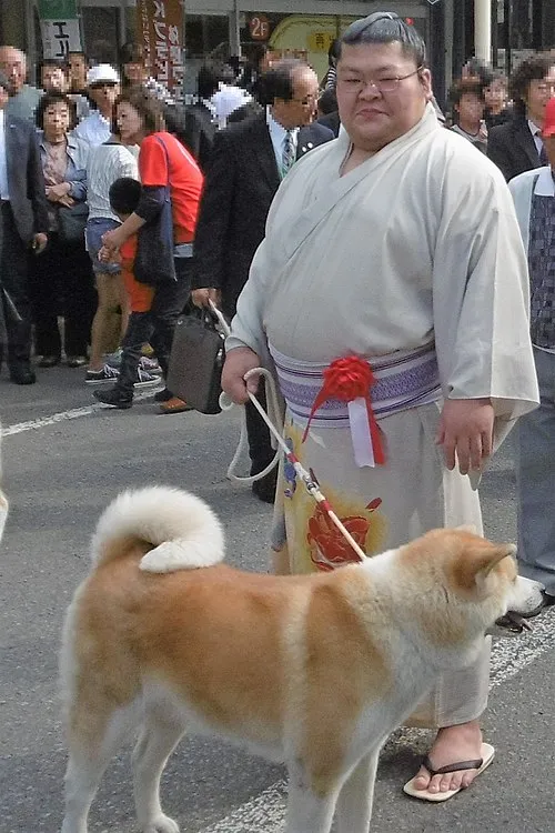 豪風旭