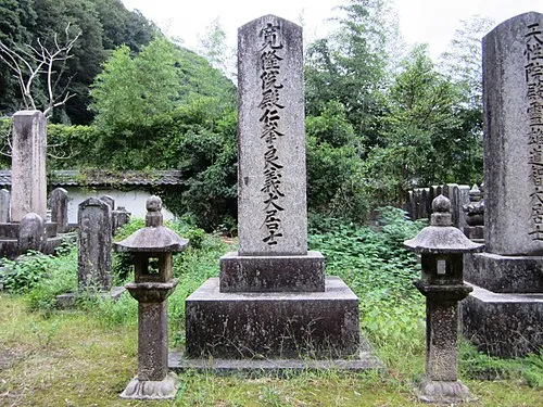 酒井忠進