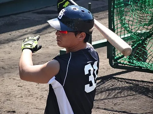 野本圭