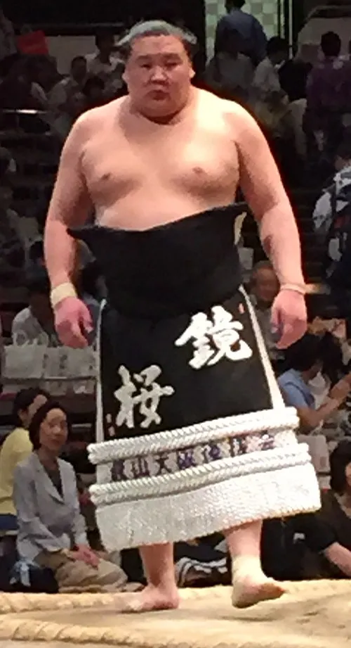 鏡桜南二