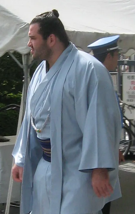 阿覧欧虎