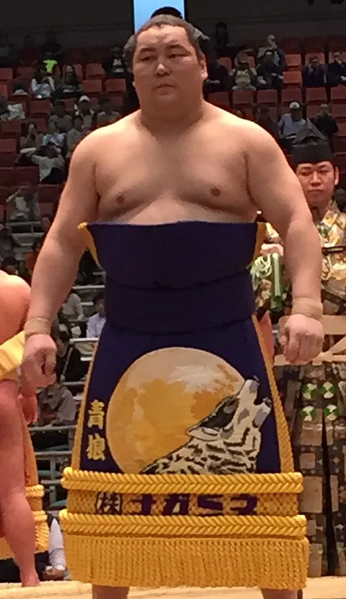 青狼武士