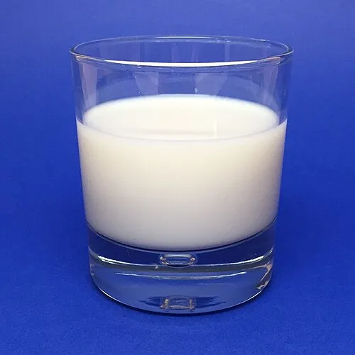 Dünya Süt Günü