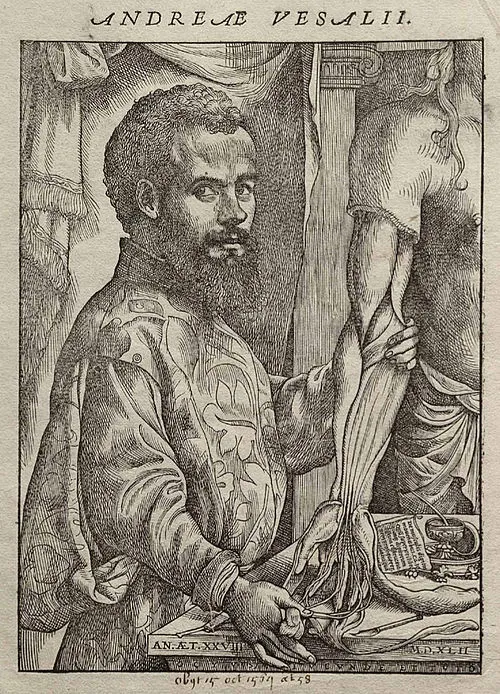 1564年 - アンドレアス・ヴェサリウス、解剖学者、医師（* 1514年）
