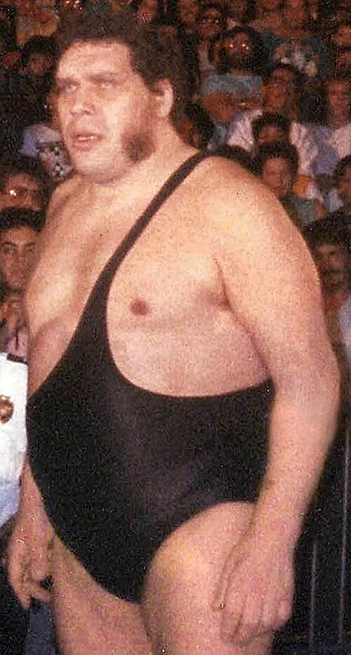1993年 - アンドレ・ザ・ジャイアント、プロレスラー(* 1946年)