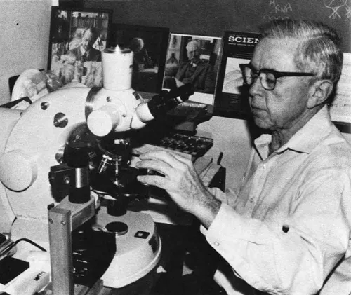 2004年 - エドワード・ルイス、遺伝学者、ノーベル生理学・医学賞受賞者（* 1918年）