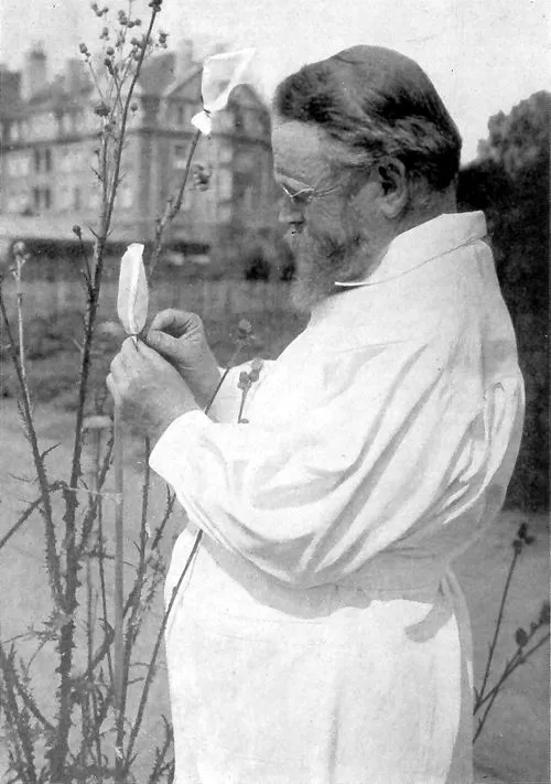 1933年 - カール・エーリヒ・コレンス、植物学者、遺伝学者（* 1864年）