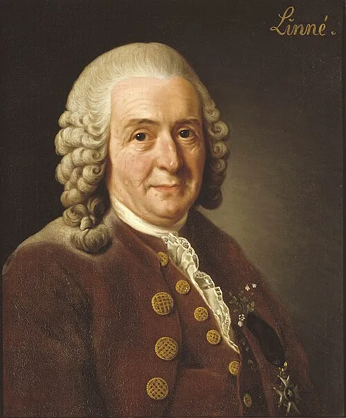 1778年 - カール・フォン・リンネ、博物学者(* 1707年)