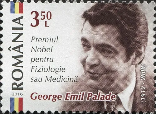 2008年 - ジョージ・エミール・パラーデ、細胞生物学者、ノーベル生理学・医学賞受賞者（* 1912年）
