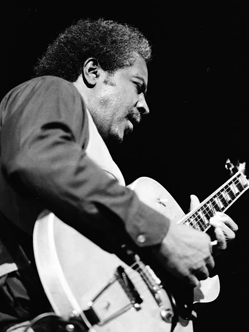 1997年 - フェントン・ロビンソン、ブルース・ギタリスト、歌手(* 1935年)
