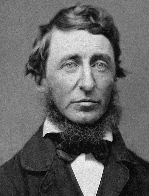 1862年 - ヘンリー・デイヴィッド・ソロー、作家、思想家、詩人、博物学者（* 1817年）