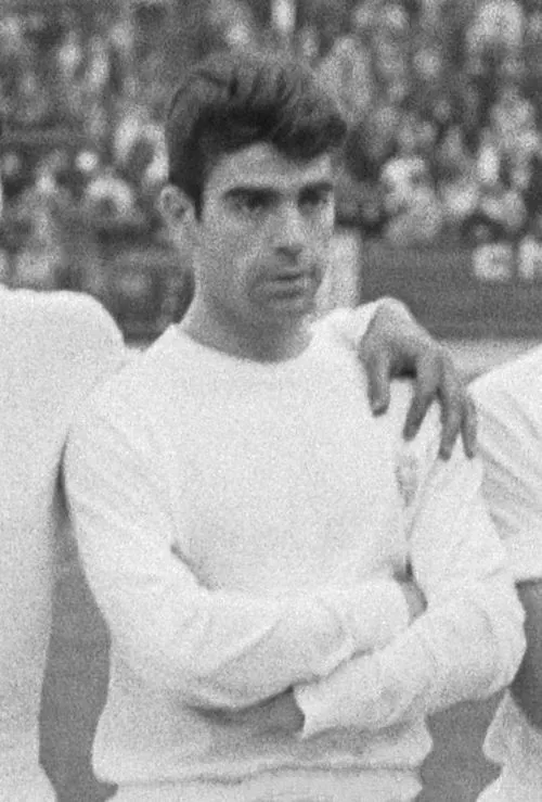2017年 - マヌエル・サンチス・マルティネス、元サッカー選手(* 1938年)