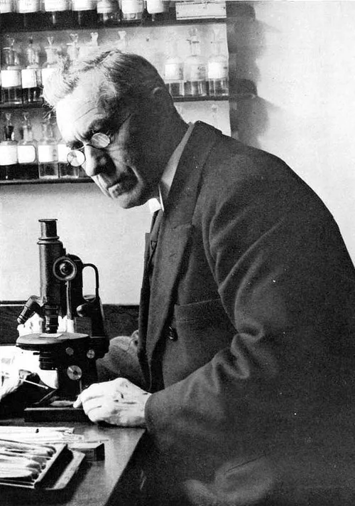 1931年 - マルティヌス・ベイエリンク、微生物学者（* 1851年）