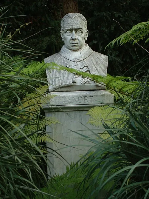 1780年 - ミケーレ・テノーレ、植物学者(+ 1861年)