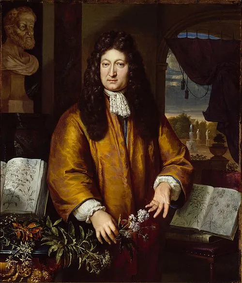 1692年 - ヤン・コメリン、植物学者、薬用植物販売者(* 1629年)