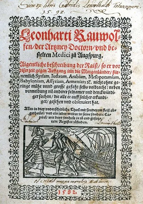 1596年 - レオンハルト・ラウヴォルフ、医師、植物学者（* 1535年）