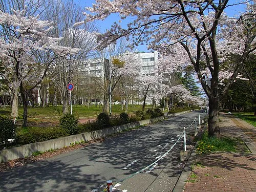 1897年 - 中川善之助、法学者(+ 1975年)