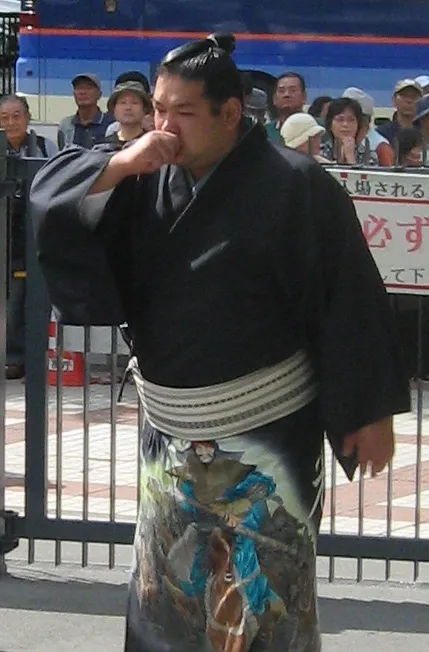 1984年 - 光龍忠晴、元大相撲力士