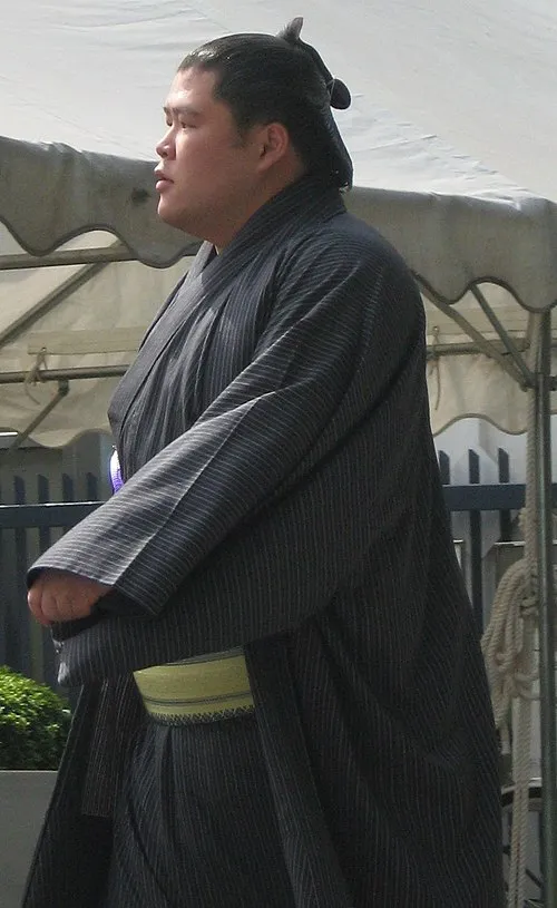 1985年 - 土佐豊祐哉、元大相撲力士