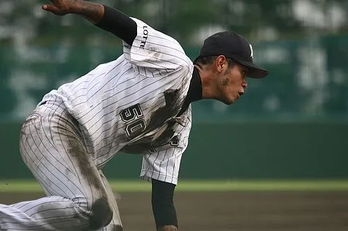 1991年 - 大嶺翔太、元プロ野球選手