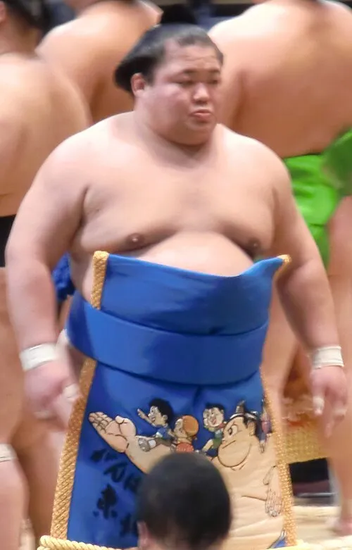 1987年 - 富士東和佳、大相撲力士