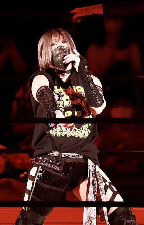 1996年 - 小波、プロレスラー