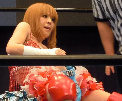 1973年 - 市来貴代子、プロレスラー