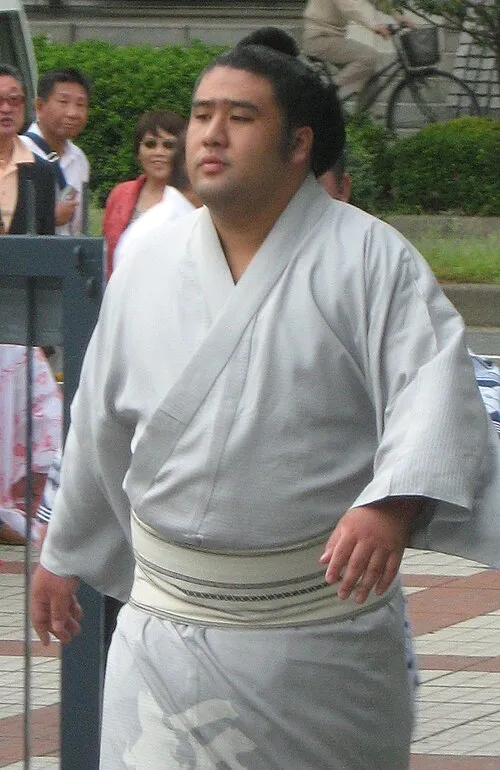 1987年 - 栃煌山雄一郎、元大相撲力士