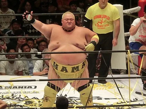 1979年 - 浜亮太、プロレスラー、元大相撲力士