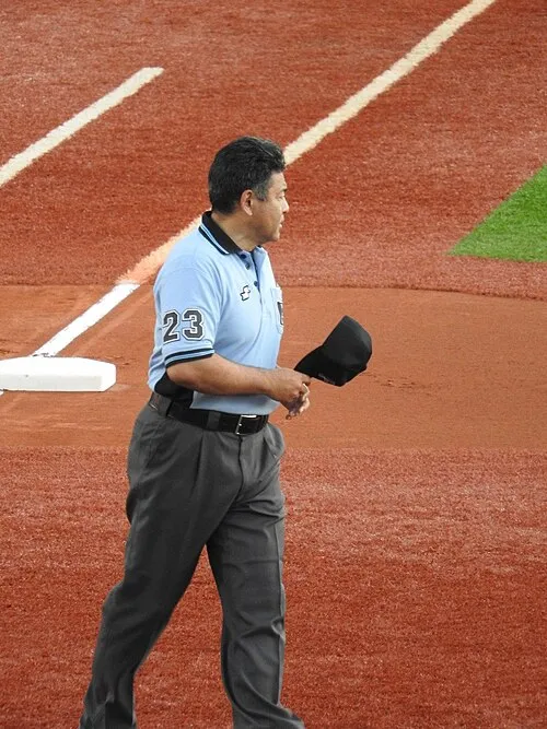 1973年 - 深谷篤、プロ野球審判員