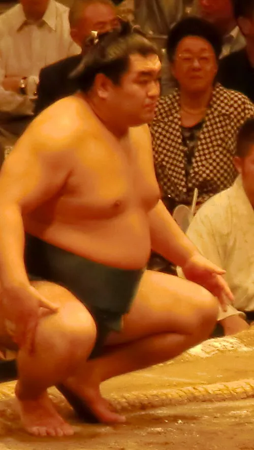 1983年 - 玉飛鳥大輔、元大相撲力士、年寄17代熊ヶ谷