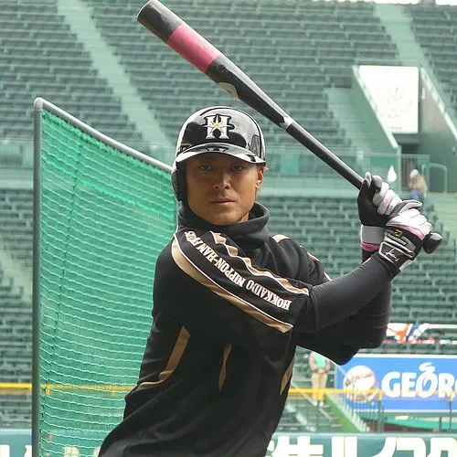 1981年 - 田中賢介、元プロ野球選手