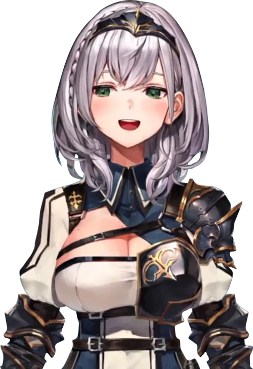 生年不明 - 白銀ノエル、バーチャルYouTuber