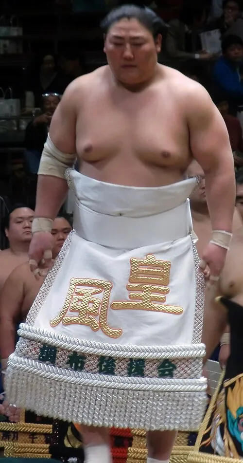 1986年 - 皇風俊司、元大相撲力士