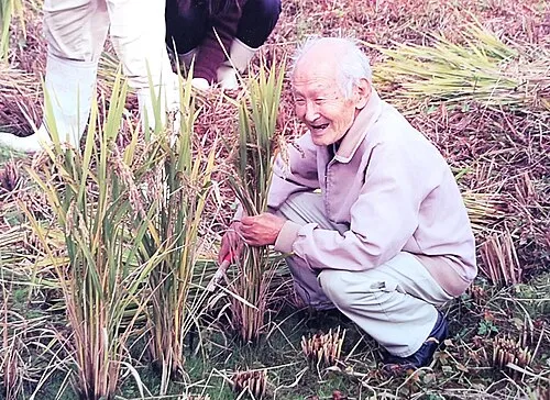 2012年 - 芦田行雄、郷土史家（* 1925年）