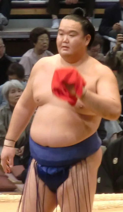1977年 - 芳東洋、大相撲力士