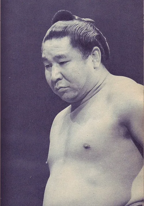 2010年 - 若乃花幹士 (初代)、大相撲45代横綱、年寄10代二子山、6代日本相撲協会理事長（* 1928年）