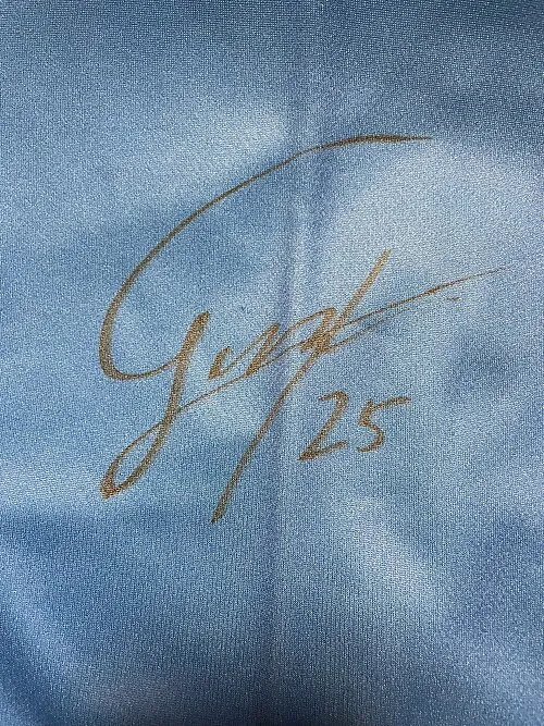 1994年 - 藤山智史、サッカー選手