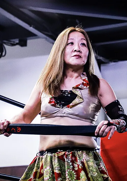 1972年 - 藪下めぐみ、プロレスラー、総合格闘家、柔道家