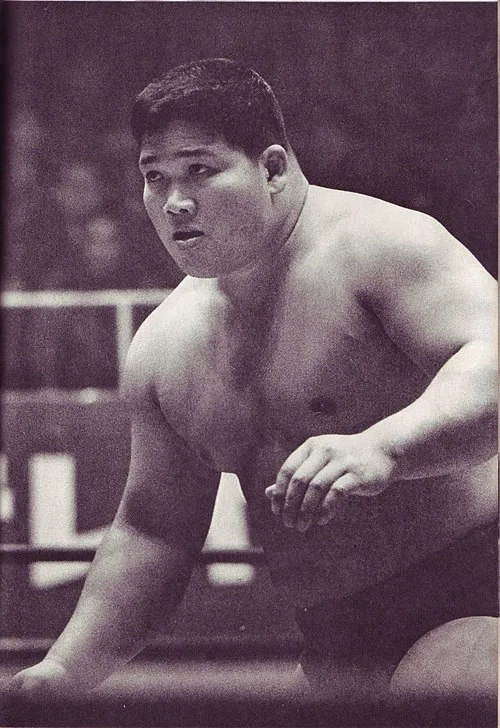 1998年 - 豊登道春、プロレスラー（* 1931年）