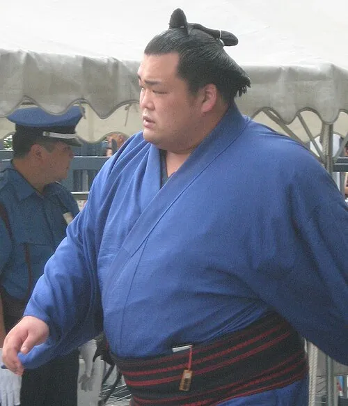 1984年 - 豊響隆太、元大相撲力士、15代年寄山科