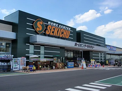 2005年 - 関口忠、電気・核融合工学者(* 1926年)