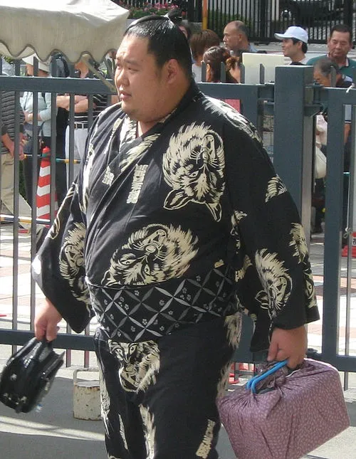 1977年 - 鳥羽の山喜充、元大相撲力士