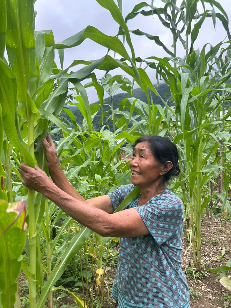 Kaobak farmer story