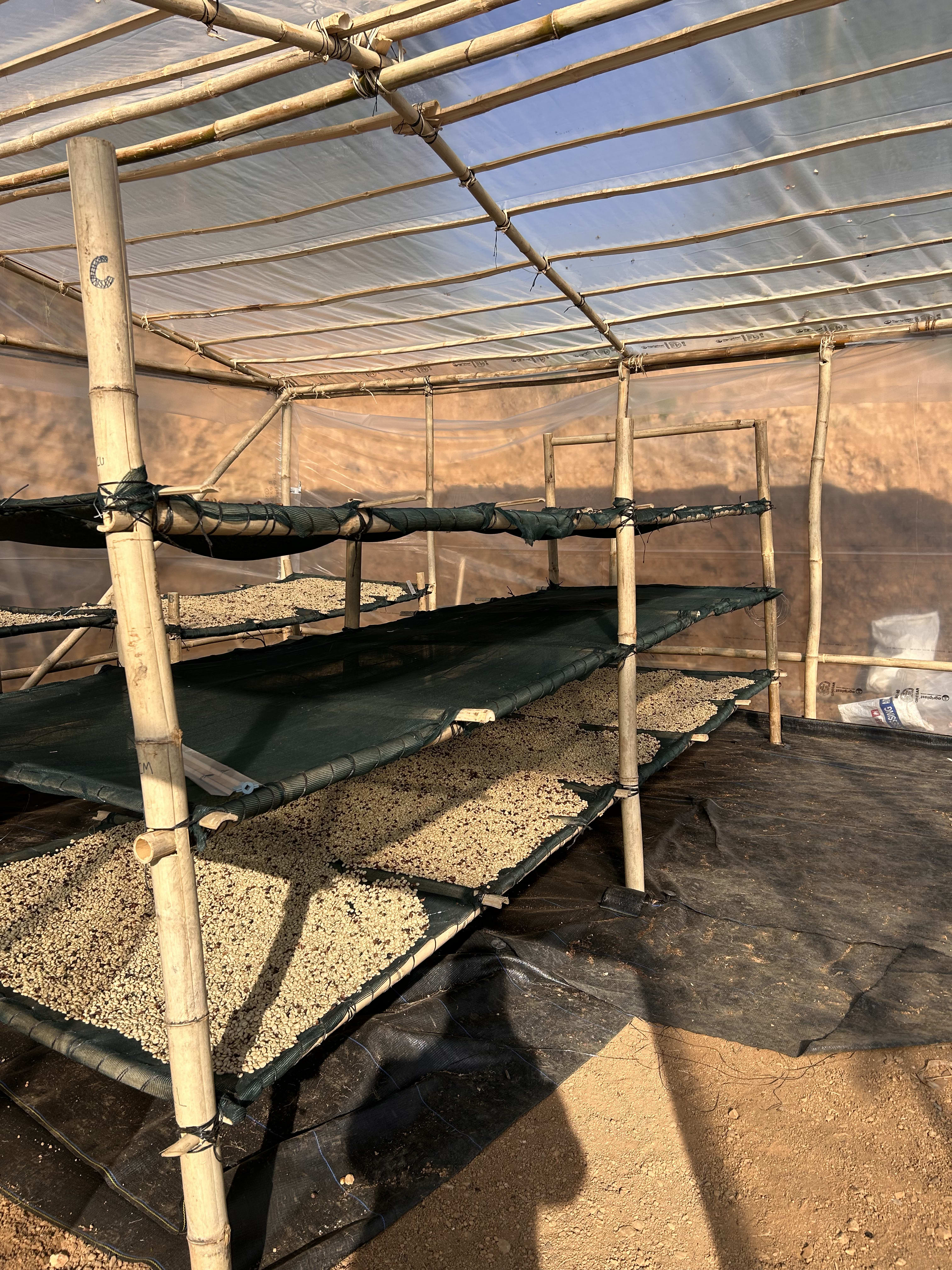 Batch-level traceability proof for Kaobak products