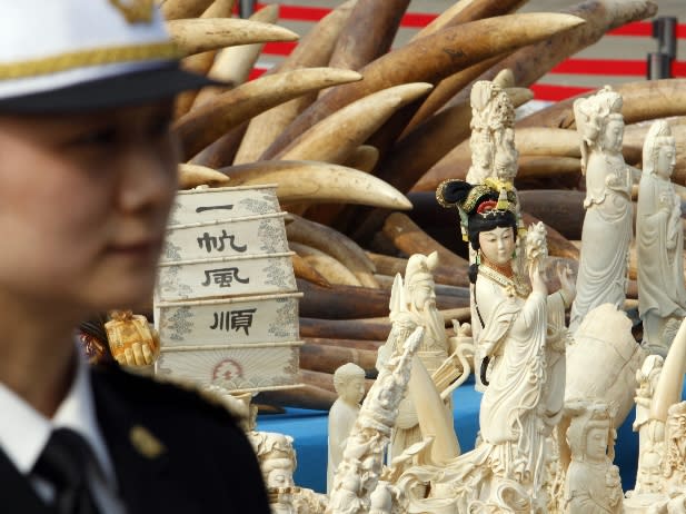 Chinese Ivory, Google in India, Philippine Jailbreak, and More ...