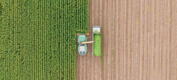 Less Land How to Lower Agriculture and Land-Use Emissions | CFR Education