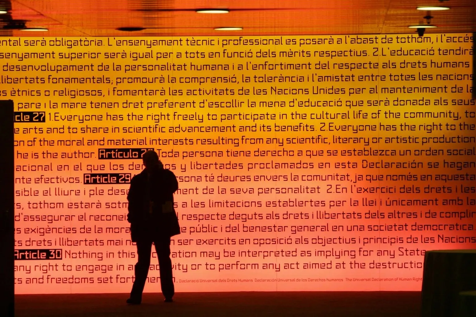 Reflecting on and Recharging the Universal Declaration of Human Rights ...
